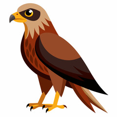 Simple Marsh Harrier Illustration