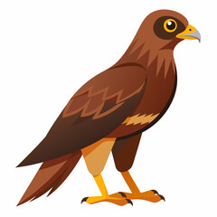 Simple Marsh Harrier Illustration