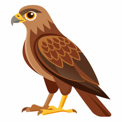 Simple Marsh Harrier Illustration