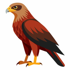 Simple Marsh Harrier Illustration