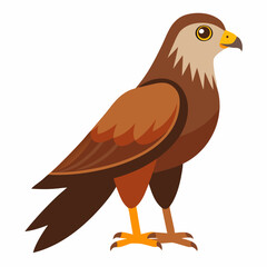 Simple Marsh Harrier Illustration