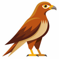 Simple Marsh Harrier Illustration