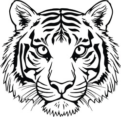 Fototapeta premium Fierce Tiger Face Illustration - Bold Wildlife Predator Vector Art for Powerful Design Concepts
