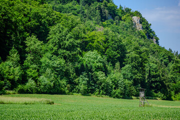 Lush green landscape with lookout tower beside vibrant fields and dense forest on a clear summer day