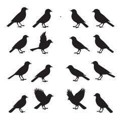 Fototapeta premium Sixteen bird silhouettes in various poses