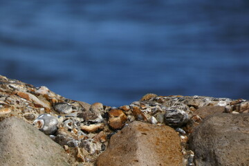rocks on the beach