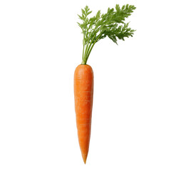 A single carrot on a white background, viewed from above, png, transparent