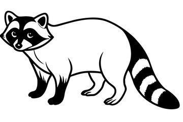 Raccoon vector illustration and white background