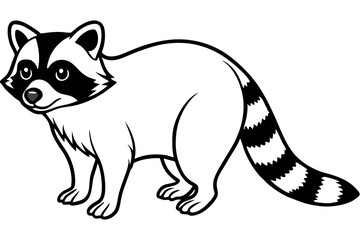 Raccoon vector illustration and white background