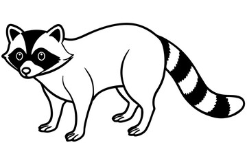 Raccoon vector illustration and white background
