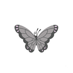 Isolated butterfly illustration with colorful wings, perfect for nature and insect-themed designs