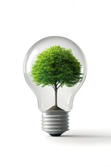 A green tree inside a light bulb, isolated on a white background. This concept represents eco-friendly energy and green technology. The image is photo-realistic.