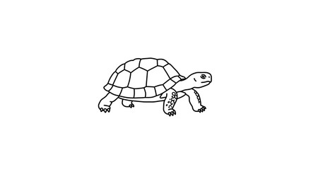 Black and white line drawing of tortoise with detailed shell and legs vector illustration