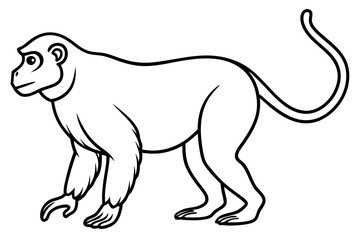 Proboscis Monkey – Clean Vector Outline