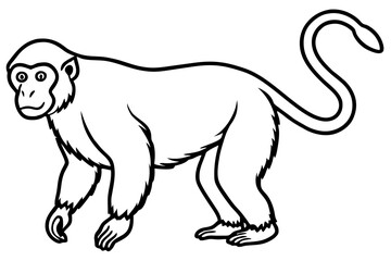 Proboscis Monkey – Clean Vector Outline