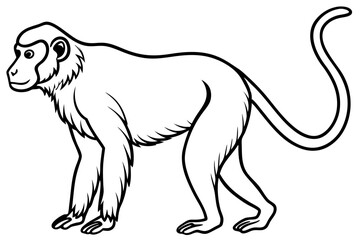 Proboscis Monkey – Clean Vector Outline