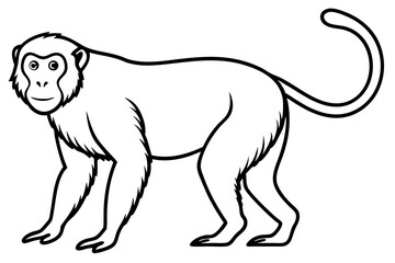 Proboscis Monkey – Clean Vector Outline