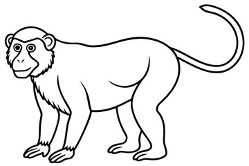 Proboscis Monkey – Clean Vector Outline