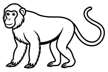 Proboscis Monkey – Clean Vector Outline