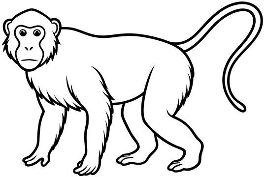 black and white monkey standing, side view clip art preview