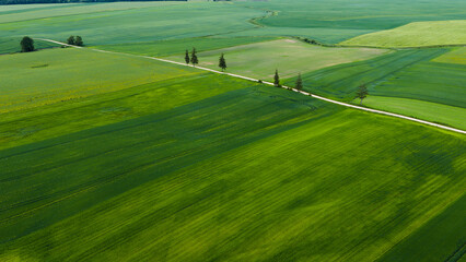Obraz premium fields in Lithuanian countryside