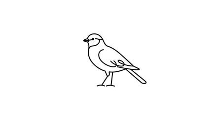 Minimalist line drawing of bird: simple outline art illustration vector illustration