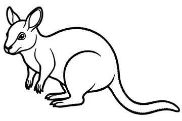 Pademelon Minimalist Line Art Vector