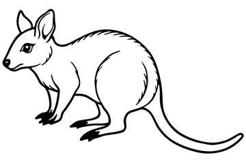 Pademelon Minimalist Line Art Vector
