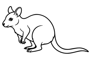 Pademelon Minimalist Line Art Vector