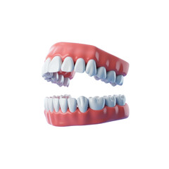 Explore dental health and teeth alignment with this anatomical dentures model for educational purposes