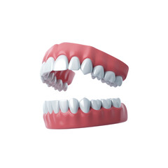 Obraz premium Teeth model for dental education and oral hygiene demonstration with gums and white teeth anatomy model