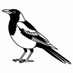 magpie bird  icon