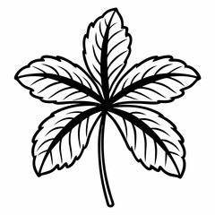 leaf  vector