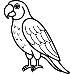 Parrot vector illustration line art and white background
