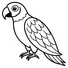 Parrot vector illustration line art and white background
