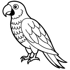Parrot vector illustration line art and white background