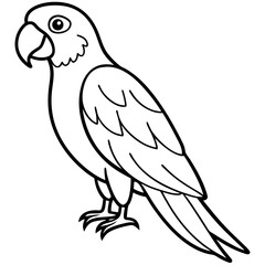 Parrot vector illustration line art and white background