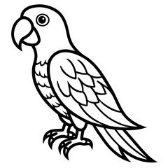 Parrot vector illustration line art and white background
