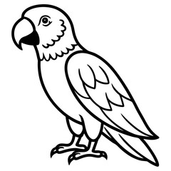Parrot vector illustration line art and white background