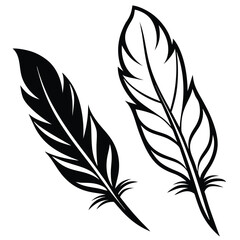 Obraz premium elegant feather collection