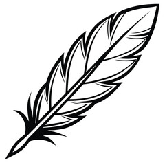 Obraz premium elegant feather collection