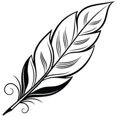 Obraz premium elegant feather collection