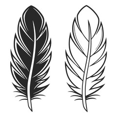 Fototapeta premium elegant feather collection