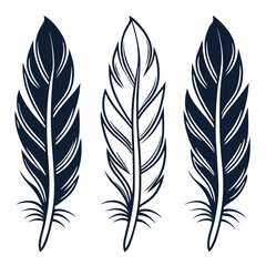  elegant feather collection