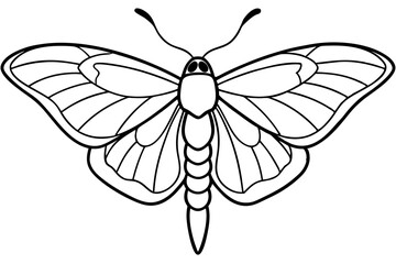 Opal Moth Line Drawing Illustration