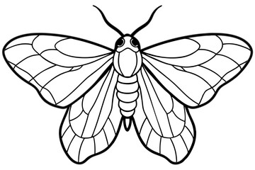 Opal Moth Line Drawing Illustration