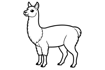 Paca Line Art Vector Design