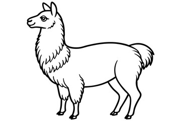 Paca Line Art Vector Design