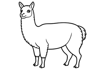Paca Line Art Vector Design