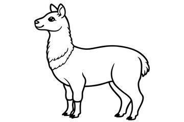 Paca Line Art Vector Design